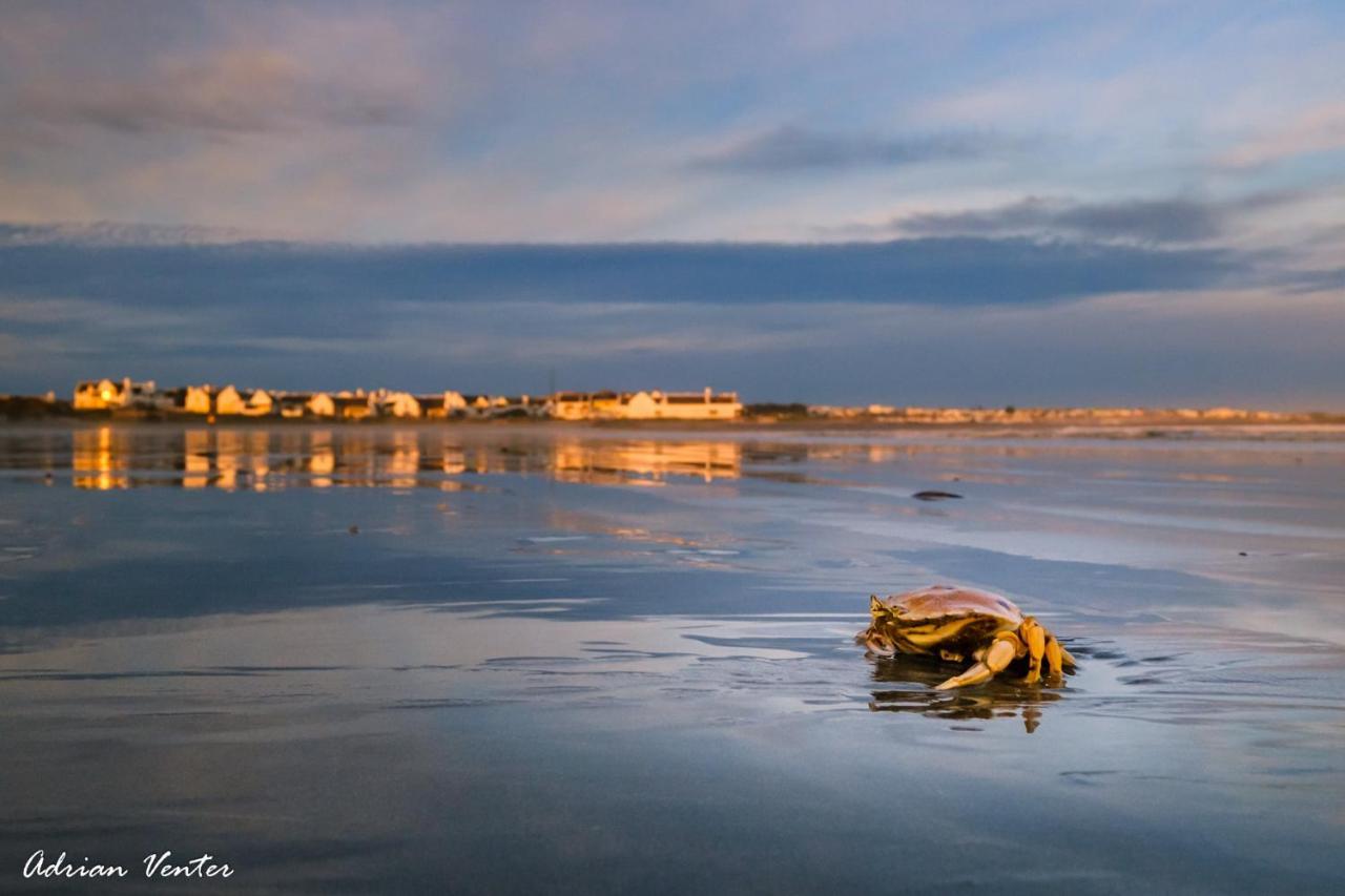 Flamink Beach View Cottage In Paternoster Luaran gambar