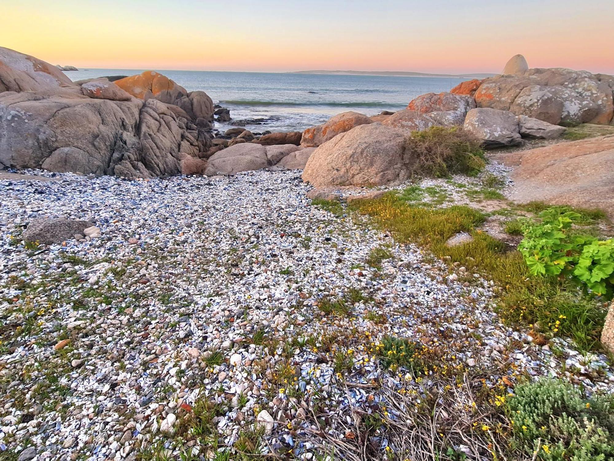 Flamink Beach View Cottage In Paternoster Luaran gambar